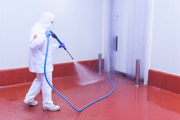 Paint Preparation in Lynn Haven, FL